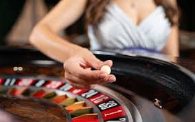 164bet